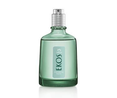 Desodorante Colônia Folhas de Mate - 100 ml